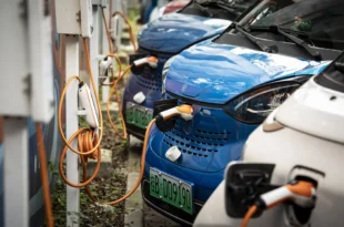 A brutal round of eliminations is reshaping the world's largest market for electric cars