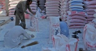 Cheap flour a brief overview of market forces