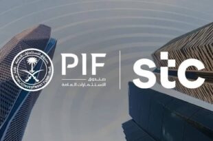 PIF, STC to form the largest telecom tower firm in the region