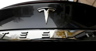 Tesla's profits fell by more than half