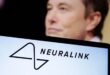 Musk's Neuralink has had problems with its tiny wires for years, sources say